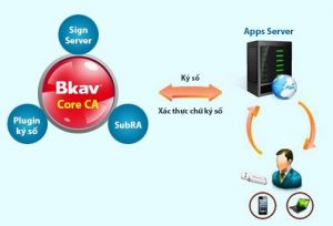 Chữ ký số máy chủ và những điều cần biết